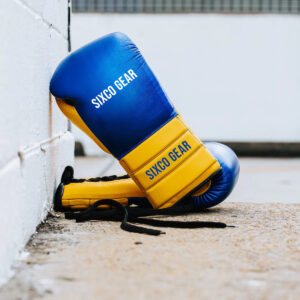 custom boxing gloves